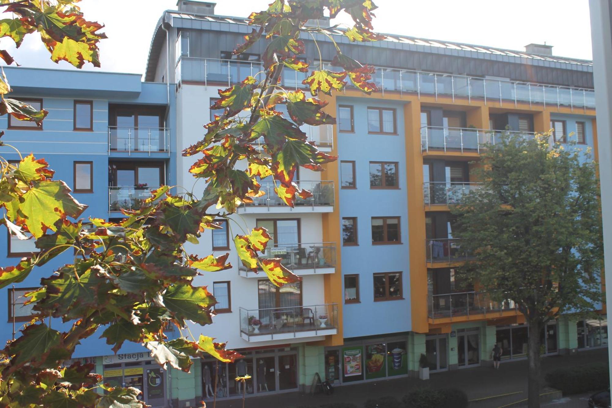 Konrad W Centrum 600 M Od Morza Kolobrzeg